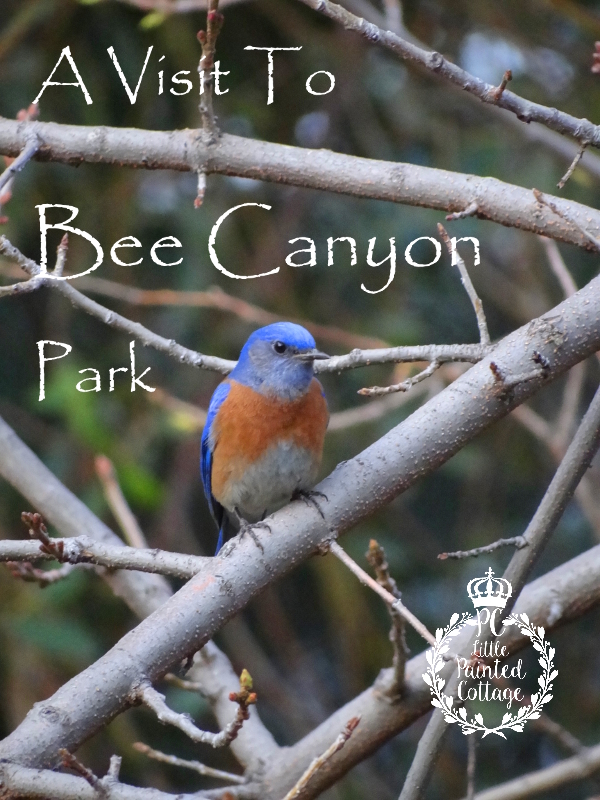 Visit Bee Canyon Park